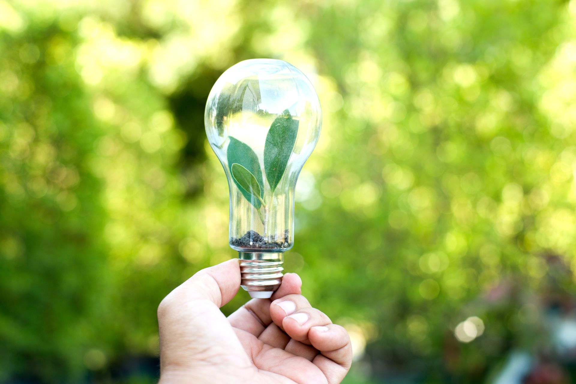 View of Domestic Energy Performance Certificates (EPC) | Scot EPC
